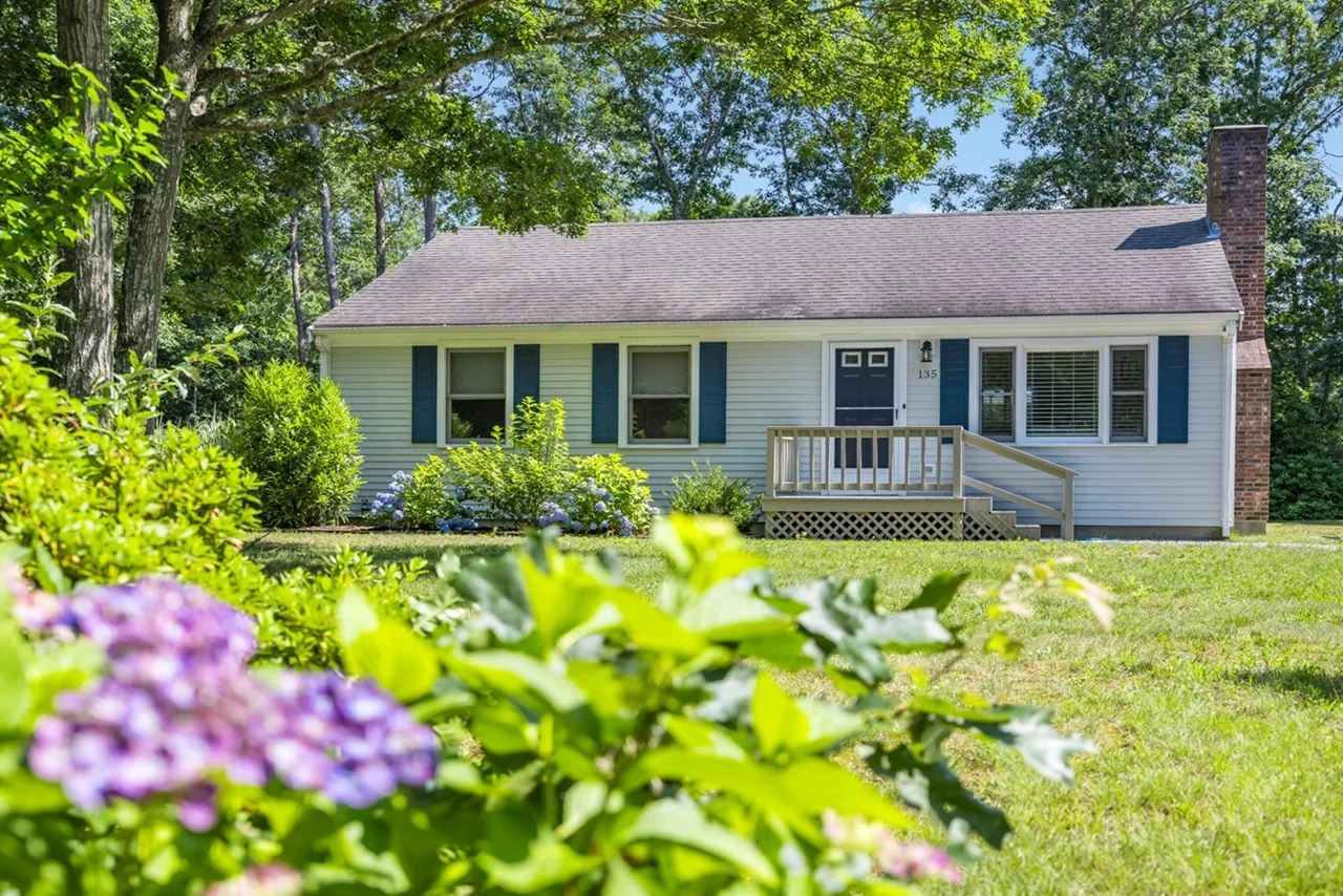 Hydrangeas in bloom outside Cherrystone
